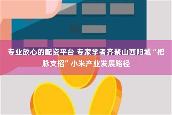 专业放心的配资平台 专家学者齐聚山西阳城“把脉支招”小米产业发展路径