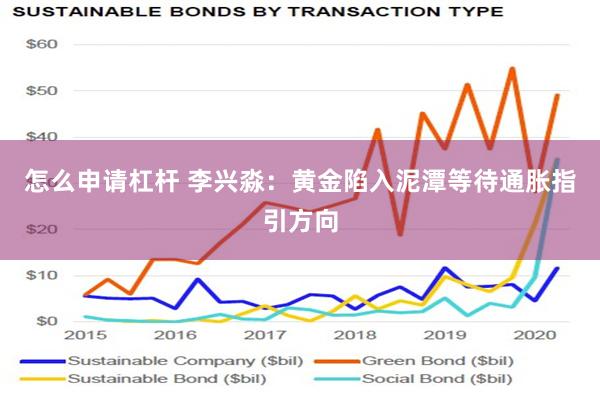 怎么申请杠杆 李兴淼：黄金陷入泥潭等待通胀指引方向