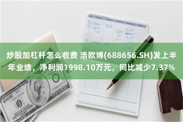 炒股加杠杆怎么收费 浩欧博(688656.SH)发上半年业绩，净利润1998.10万元，同比减少7.37%