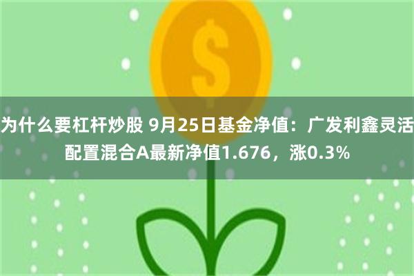 为什么要杠杆炒股 9月25日基金净值：广发利鑫灵活配置混合A