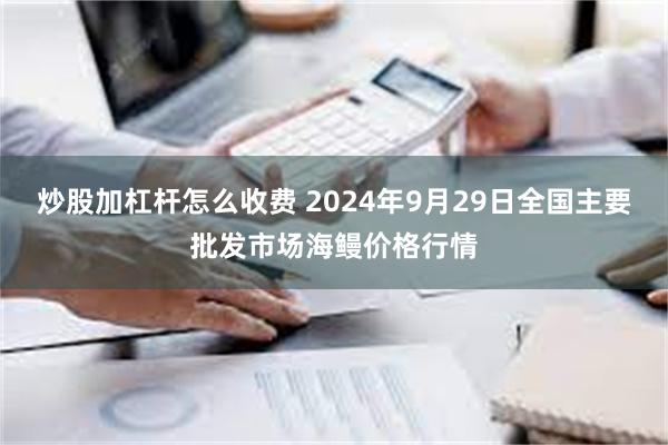 炒股加杠杆怎么收费 2024年9月29日全国主要批发市场海鳗价格行情