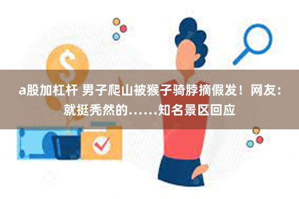 a股加杠杆 男子爬山被猴子骑脖摘假发！网友：就挺秃然的……知名景区回应