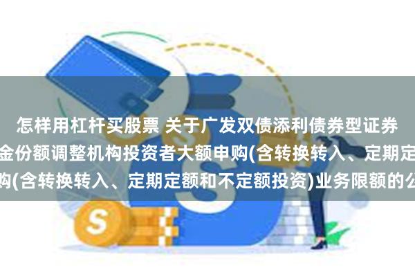 怎样用杠杆买股票 关于广发双债添利债券型证券投资基金A类和C类基金份额调整机构投资者大额申购(含转换转入、定期定额和不定额投资)业务限额的公告