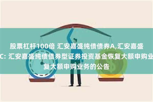 股票杠杆100倍 汇安嘉盛纯债债券A,汇安嘉盛纯债债券C: 汇安嘉盛纯债债券型证券投资基金恢复大额申购业务的公告