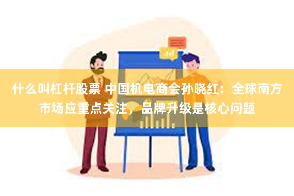 什么叫杠杆股票 中国机电商会孙晓红：全球南方市场应重点关注，