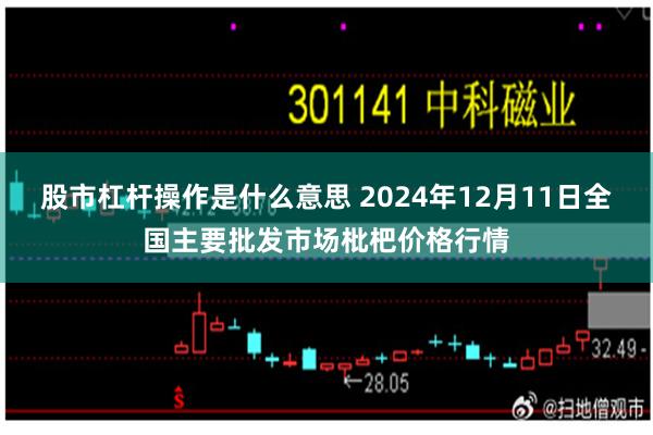 股市杠杆操作是什么意思 2024年12月11日全国主要批发市场枇杷价格行情