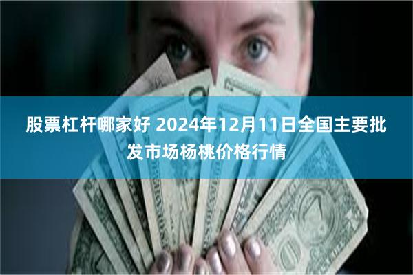 股票杠杆哪家好 2024年12月11日全国主要批发市场杨桃价格行情