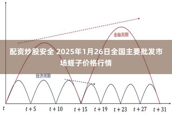 配资炒股安全 2025年1月26日全国主要批发市场蛏子价格行情