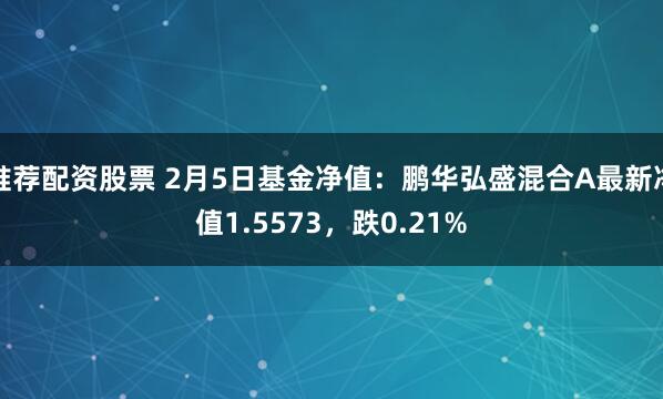 推荐配资股票 2月5日基金净值：鹏华弘盛混合A最新净值1.5573，跌0.21%