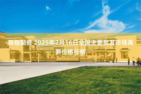 期指配资 2025年2月16日全国主要批发市场莴笋价格行情