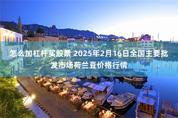 怎么加杠杆买股票 2025年2月16日全国主要批发市场荷兰豆价格行情