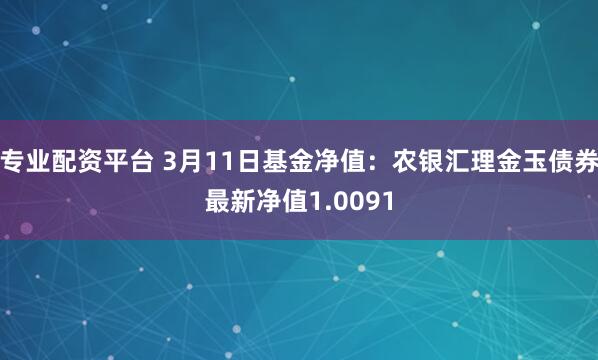 专业配资平台 3月11日基金净值：农银汇理金玉债券最新净值1.0091