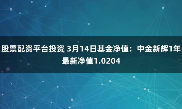 股票配资平台投资 3月14日基金净值：中金新辉1年最新净值1.0204